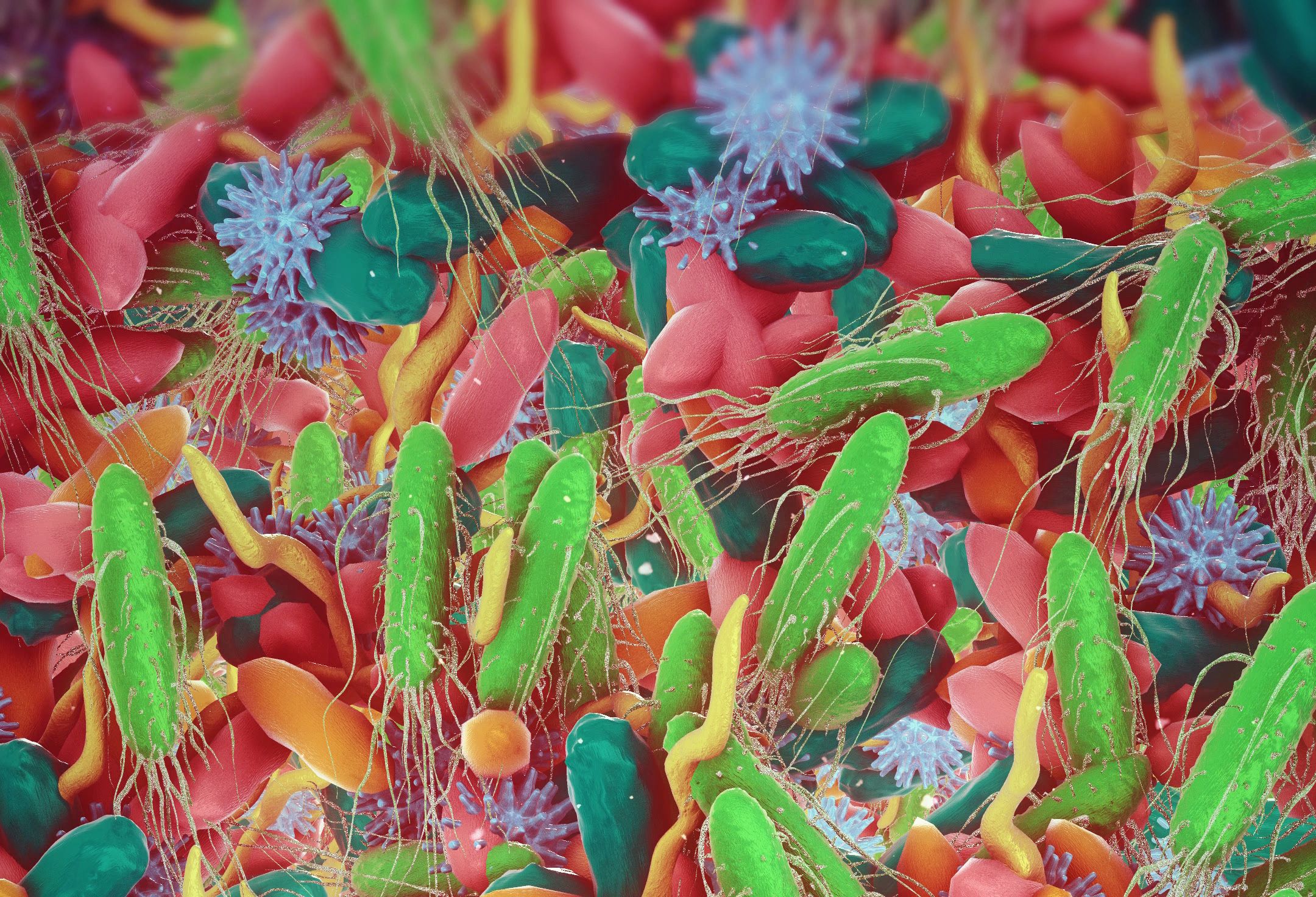 iStock: Beneficial healthy intestinal bacterium microflora