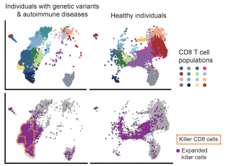 Graph of healthy vs. non-healthy individuals
