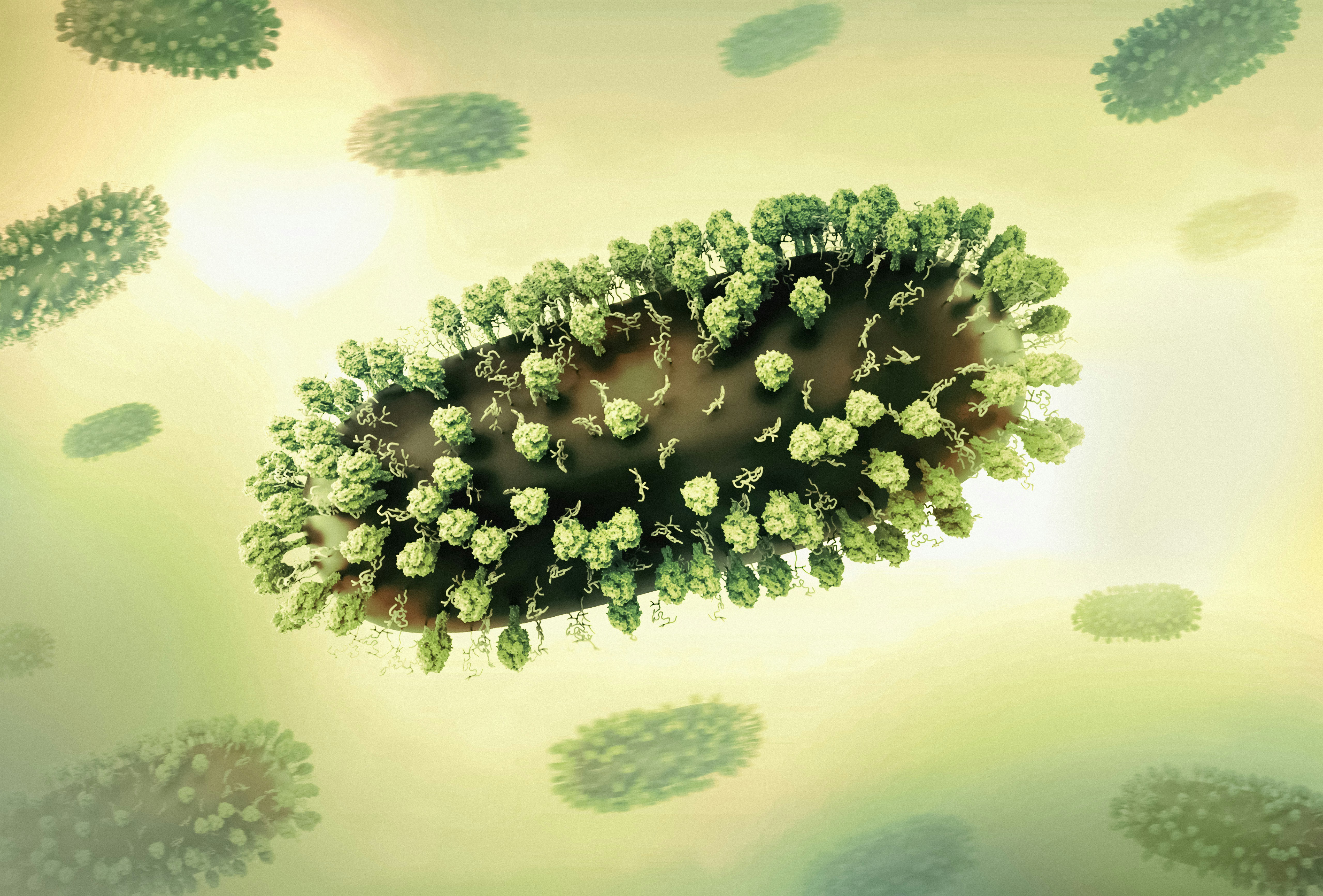 Image by National Institute of Allergy and Infectious Diseases via UnSplash Image by National Institute of Allergy and Infectious Diseases via UnSplash