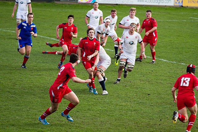 Rhys Park via Wikimedia Commons