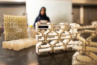 Dr Tatheer Zahra with auxetic geometries