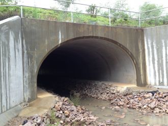 Combined wildlife and drainage underpass at Grafton NSW