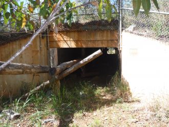 Dedicated wildlife underpass at Port Macquarie NSW
