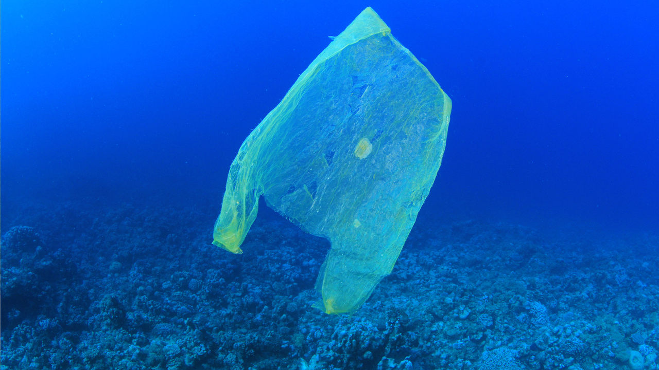 1682478-poster-1280-plasticbags By MichaelisScientists - Own work, CC BY-SA 4.0
