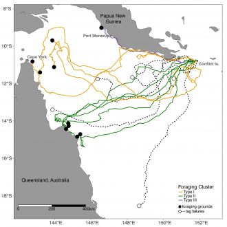 Route taken by Hawksbill turtles PNG 