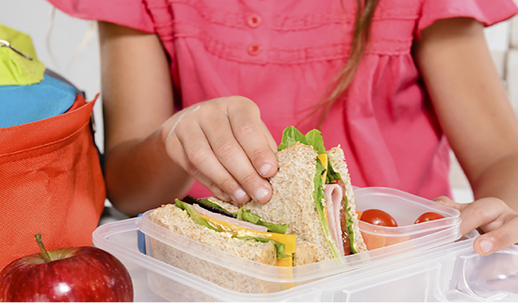 Food Safety Information Council 