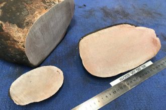 Cut rock sample from seafloor dredge