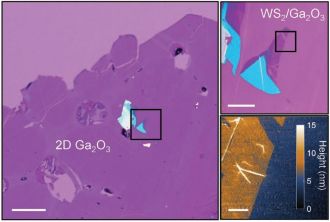 Tungsten-disulfide / gallium-oxide heterostructure