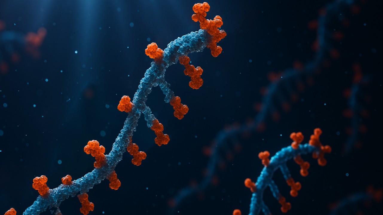 Artist's impression of mRNA. Credit: Nick Hoskin