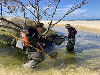 Dr Luke Carpenter-Bundhoo and Josh Whiley sampling a coastal creek on K'gari.
