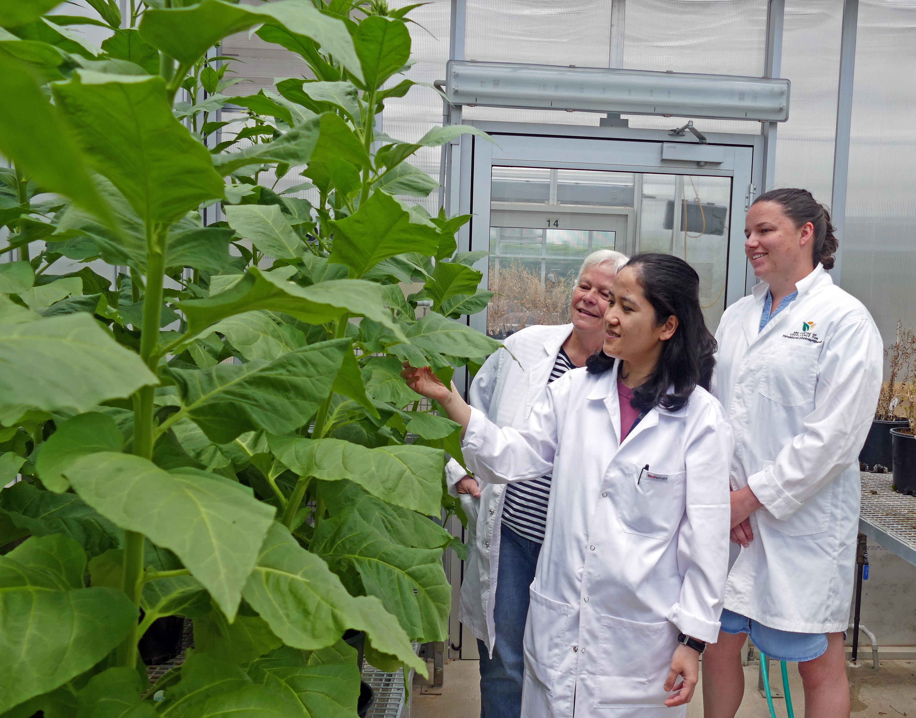 Credit: Natalia Bateman, CoETP