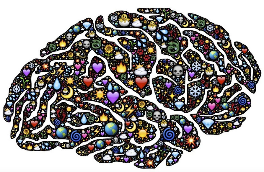 Captions: The findings are potentially applicable to humans - and it reflects a growing interest in new theories of consciousness that are experimentally testable.