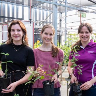 Rebecca Degnan, Dr Anne Sawyer and DAF's Louise Shoey in the glasshouse 