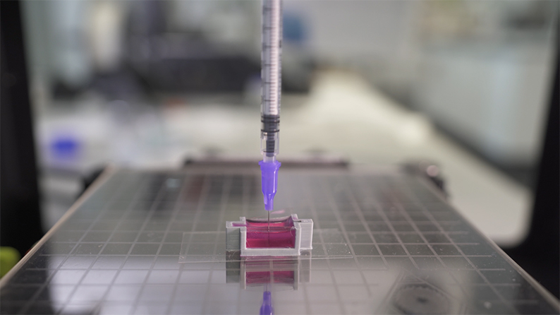 Picture: UNSW Sydney