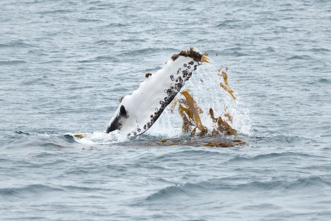 Credit: Slater Moore Photography