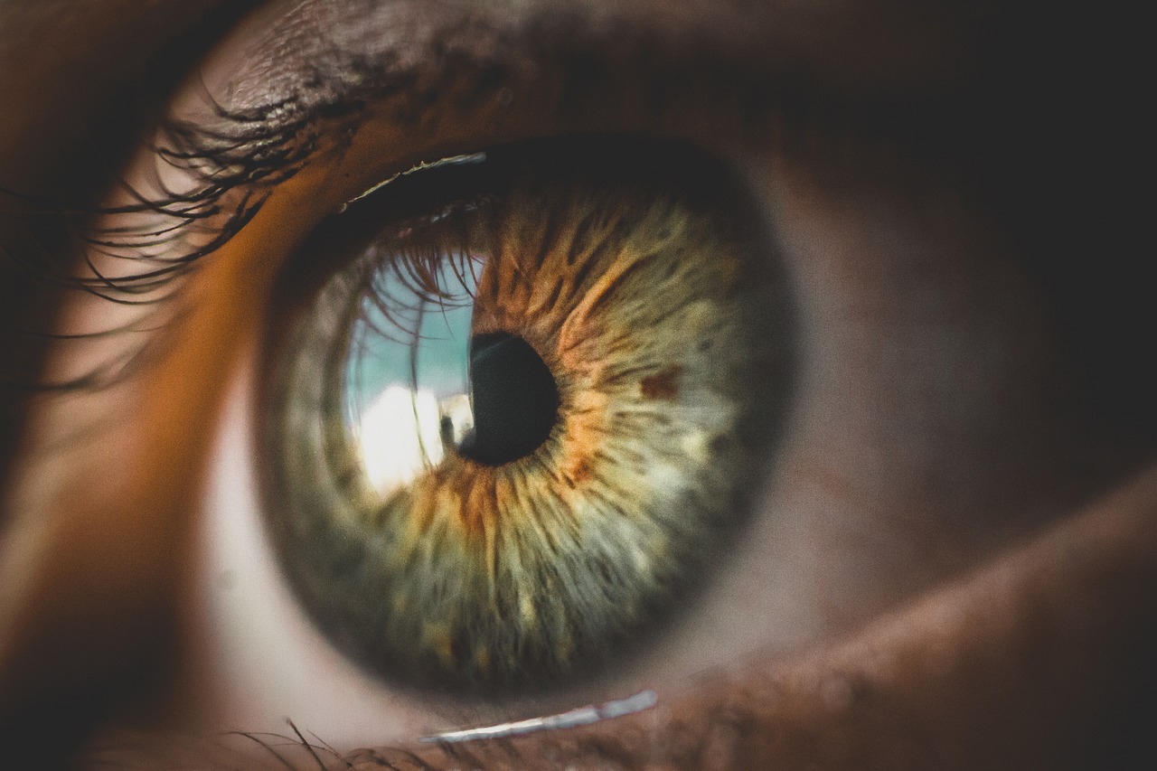 Image by Bruno Henrique from Pixabay