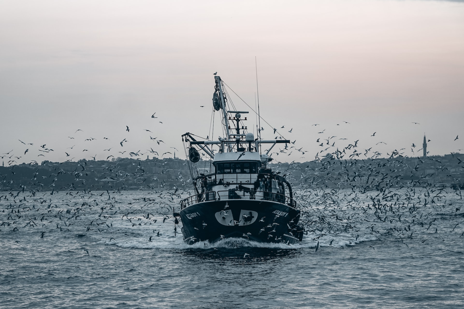 Credit: Aylin Çobanoğlu on Unsplash 