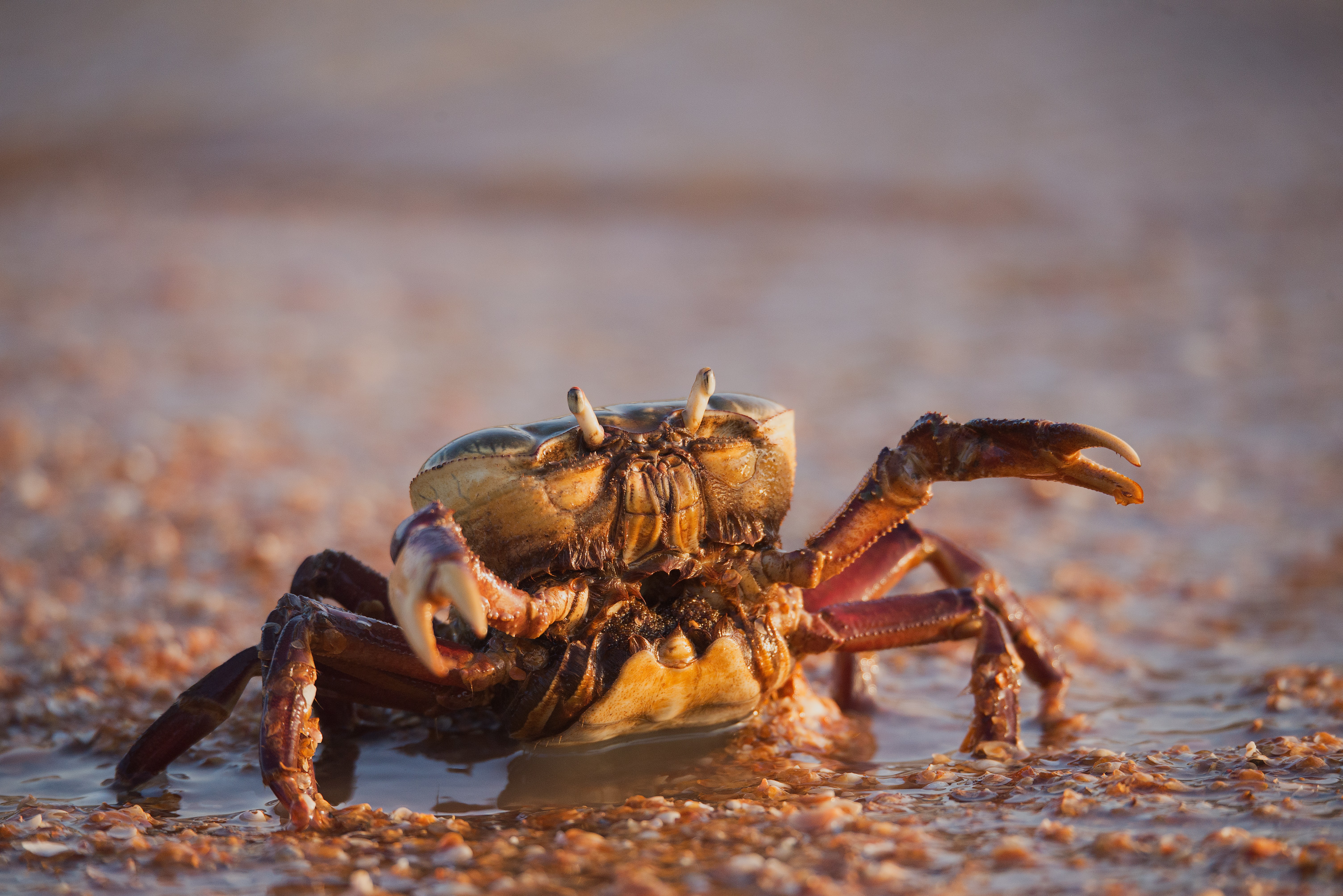 Photo by Vincent van Zalinge on Unsplash