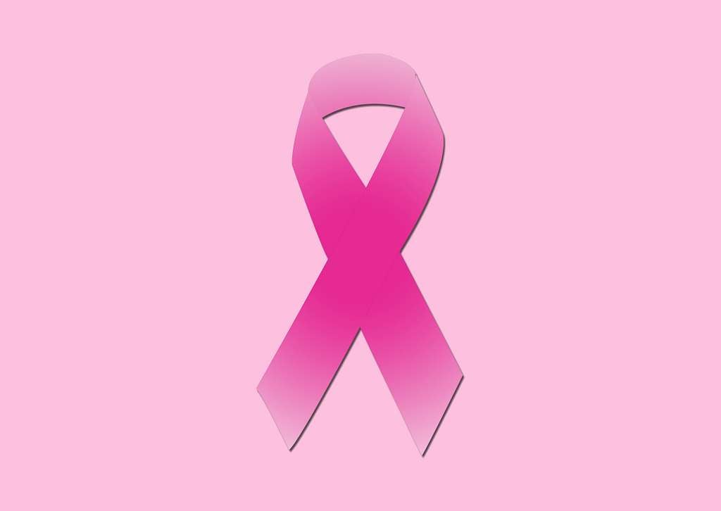 CC-0. https://boudewijnhuijgens.getarchive.net/amp/media/october-is-breast-cancer-awareness-month-and-members-b905cd