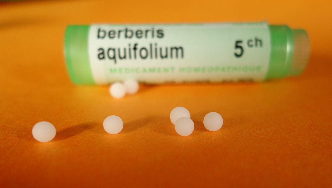 Pixabay/jotoulemonde