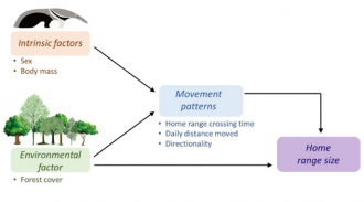 Graphical abstract for study