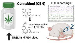 Illustration of cannabinol experiment on sleep in rats