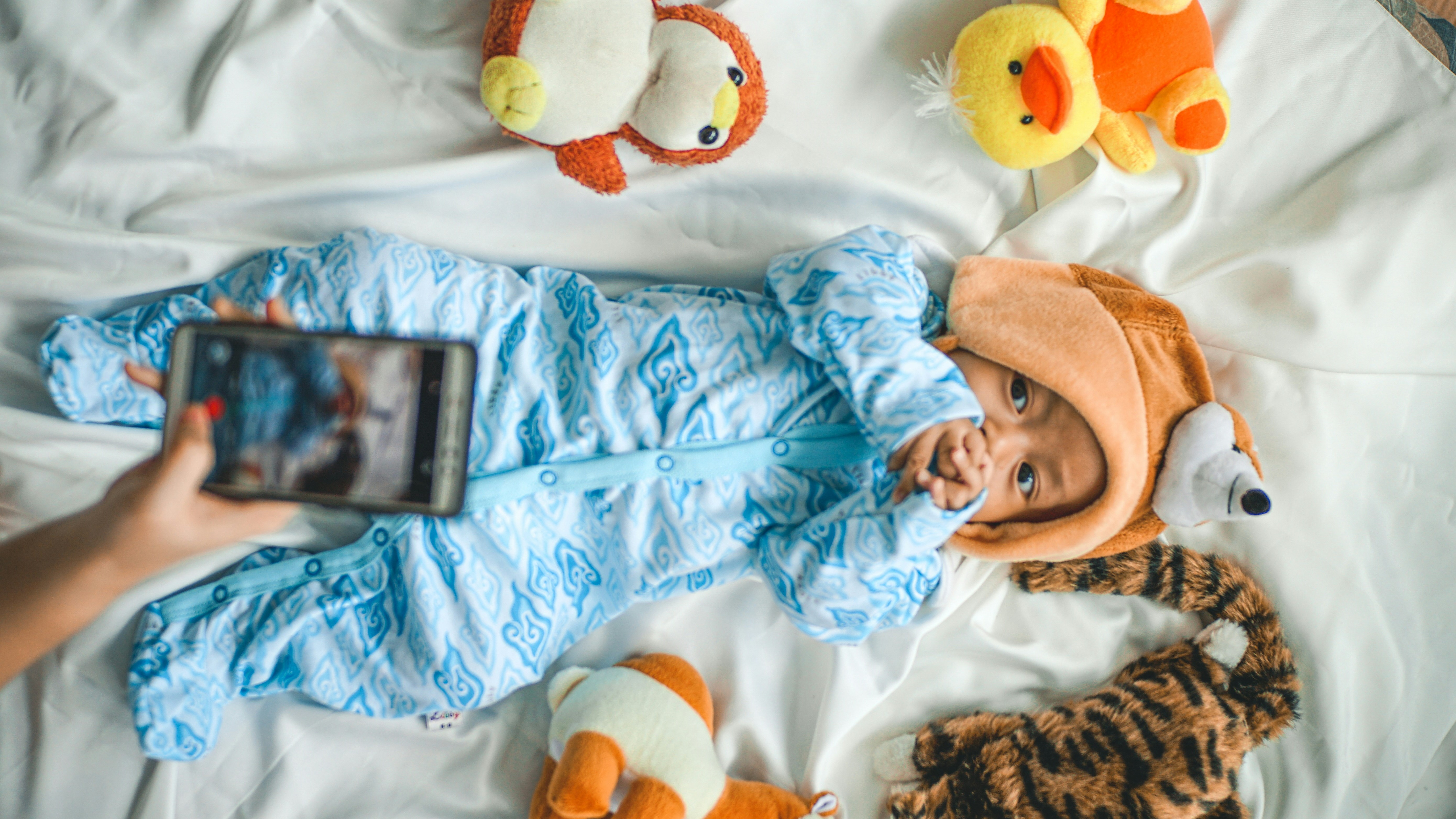 Photo by Gema Saputera on Unsplash