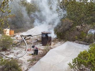 Smoke activating seed banks