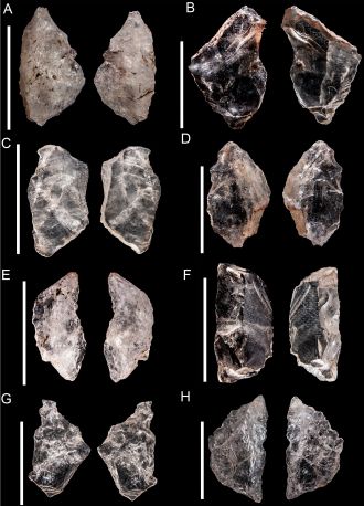 Backed-pieces-sibudu_quartz.jpg