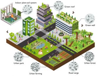 Figure urban green space
