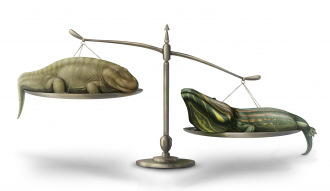 Artist’s reconstruction of E. megacephalus and P. davi