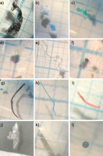 Images of different shapes of plastic particles collected in water samples