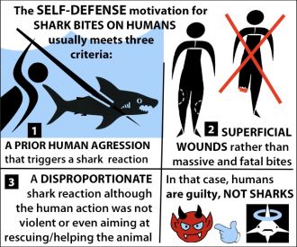 Graphical Abstract