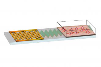 Graphic illustration (stem cell treatment)