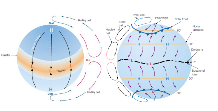 Model_Sel_Hadley_dan_Model_Tiga_Sel By Suhari At Tamfury - Own work, CC BY-SA 4.0