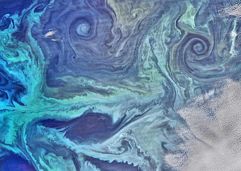 NASA_satellite_view_of_Southern_Ocean_phytoplankton_bloom_By NASA Suomi NPP satellite - Extracted from this Commons file, CC BY-SA 4.0
