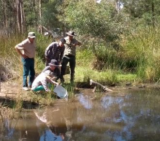 Community volunteers 