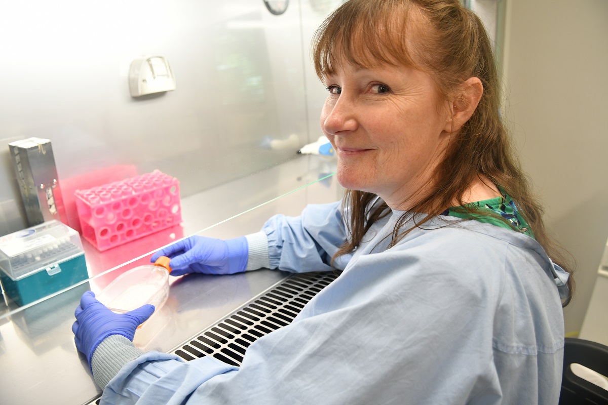 Associate Professor Kim Hemsley in the FHMRI lab.