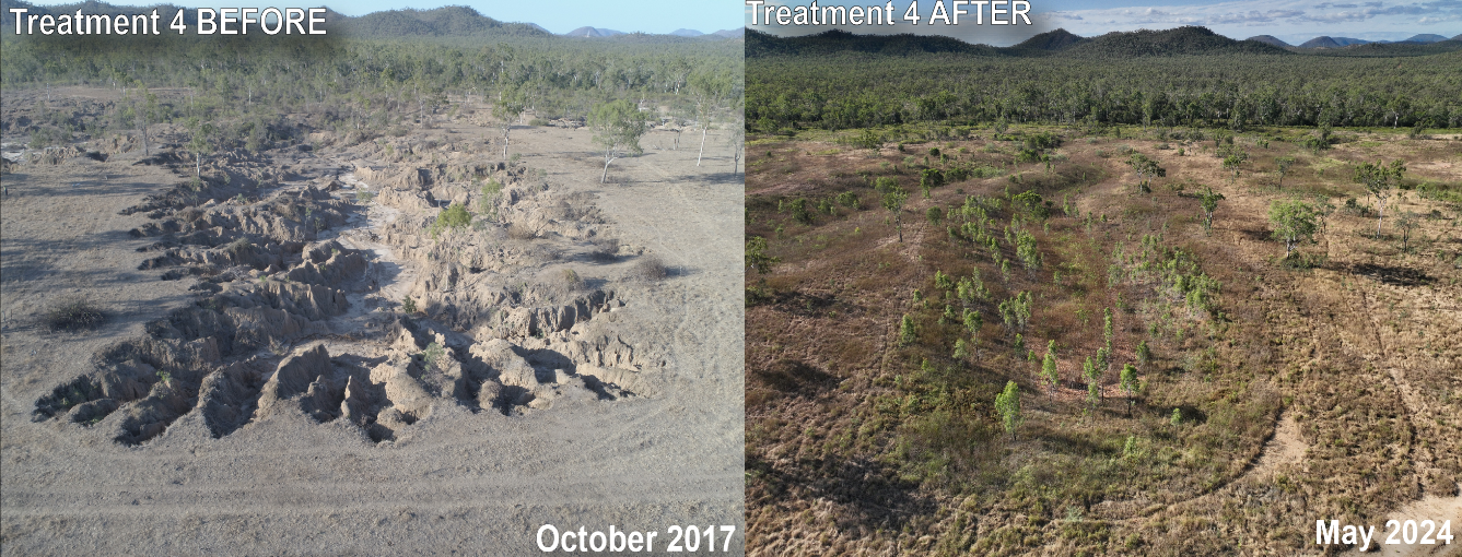Remediation of the inland gullies shows the rehabilitation of the landscape that ultimately limits sediment run-off into the catchment flowing to the Great Barrier Reef. 
