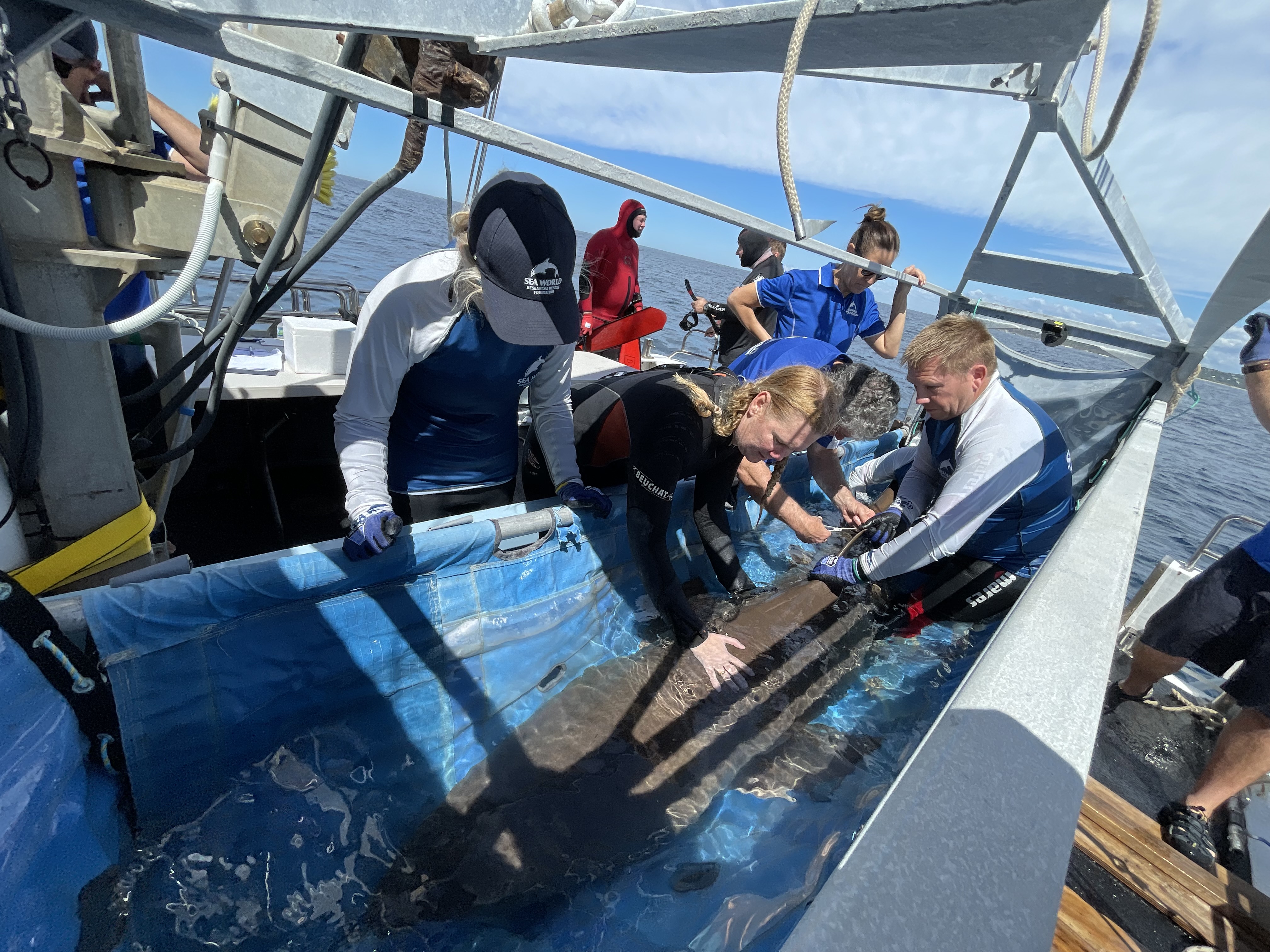 Sea World Gold Coast