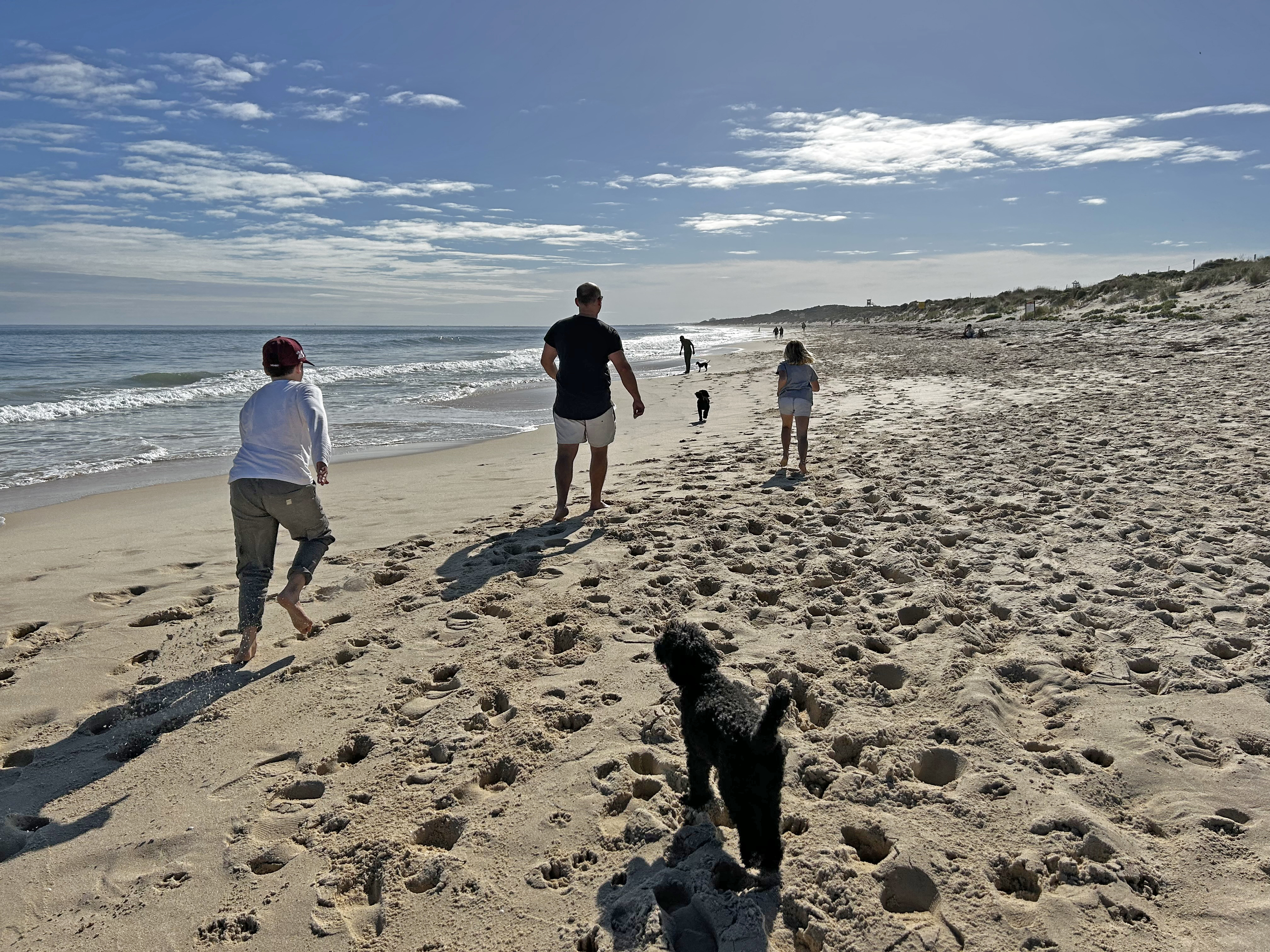 Telethon Kids Institute