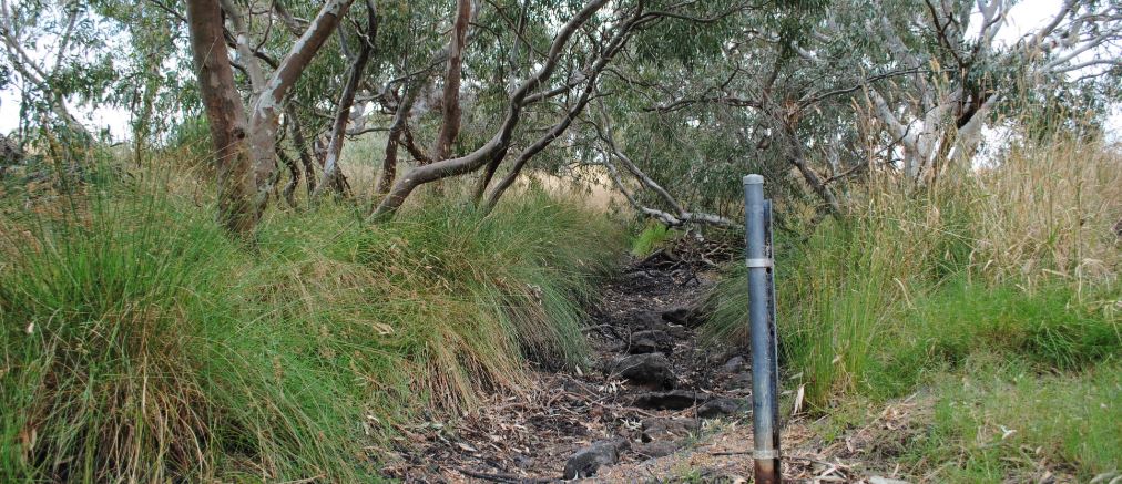 A stream gauge on Kororoit Creek, a non-perennial stream in Victoria, Australia. Credit: Tim Fletcher (University of Melbourne)
