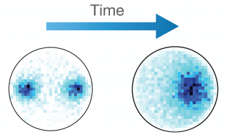 Vortices in a superfluid