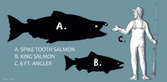 Spike-Tooth Salmon compared to the largest living salmon and a 6ft. fisherman