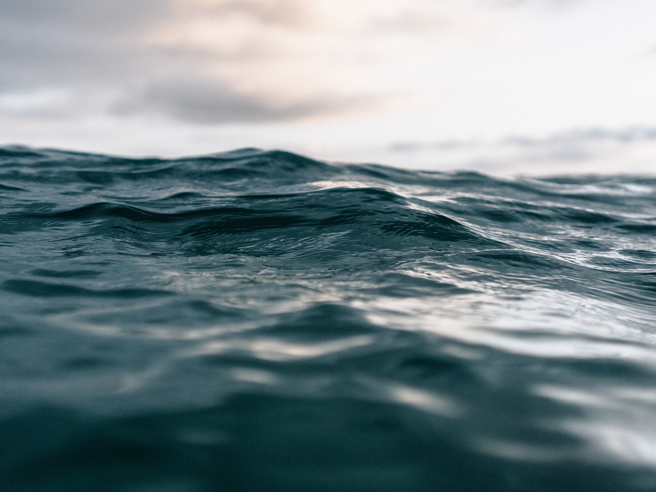 Image by Matt Hardy from Pixabay