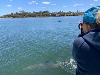 Dolphin researcher Dr Delphine Chabanne