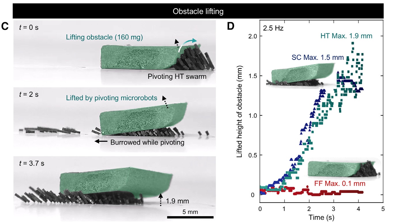 Figure 3: Pivoting microrobot swarms and swarm intelligence of high-aspect-ratio robot assemblies. CREDIT: Jeong, et al (2024): 