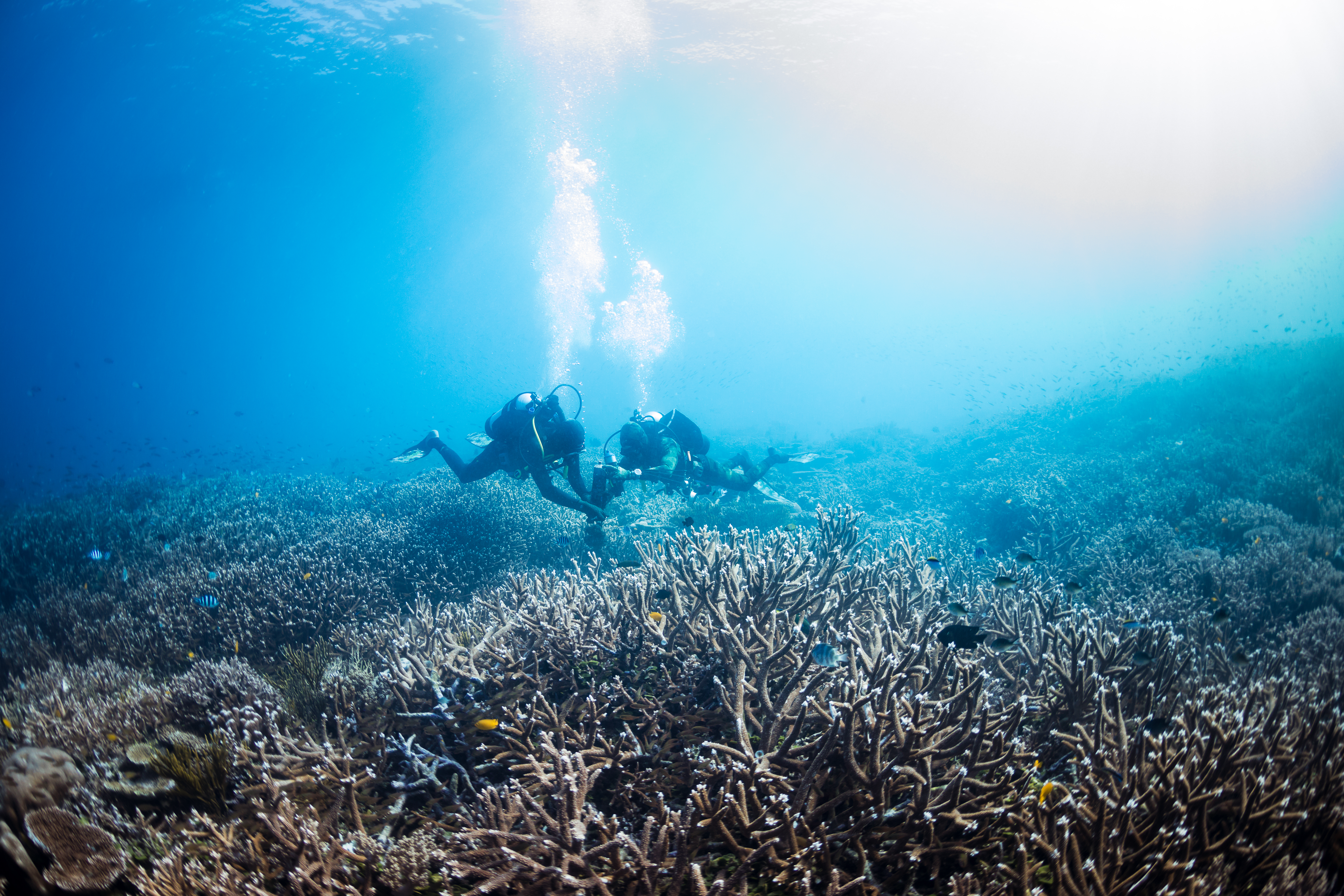 Sydney Institute of Marine Science