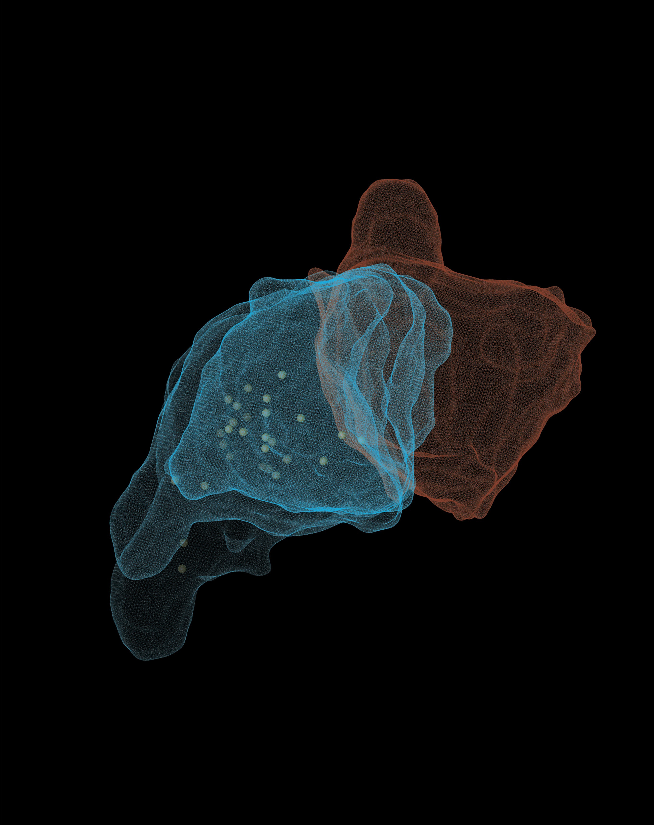 T cells (blue) snuggle up to targeted cancer cells (orange) and generate forces to promote killing by pore-forming proteins (yellow). Credit: James Cremasco, Daryan Kempe, and Maté Biro.
