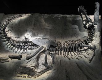 T-rex, gigantic North American tyrannosaur species